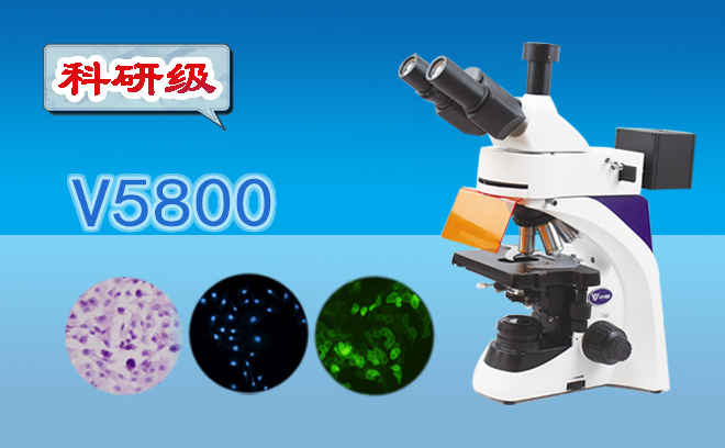 熒光顯微鏡種類(lèi)與功能
