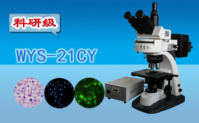 2022年生命科學顯微鏡產業(yè)化項目的市場規(guī)模
